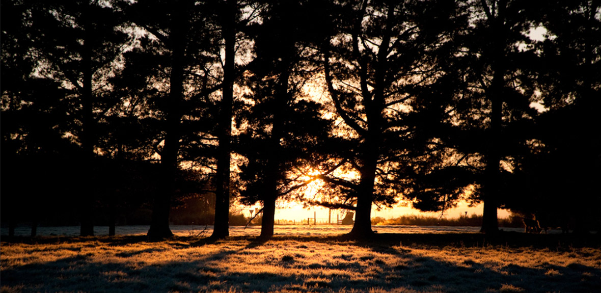 Glow Studio Photography | Love is Life