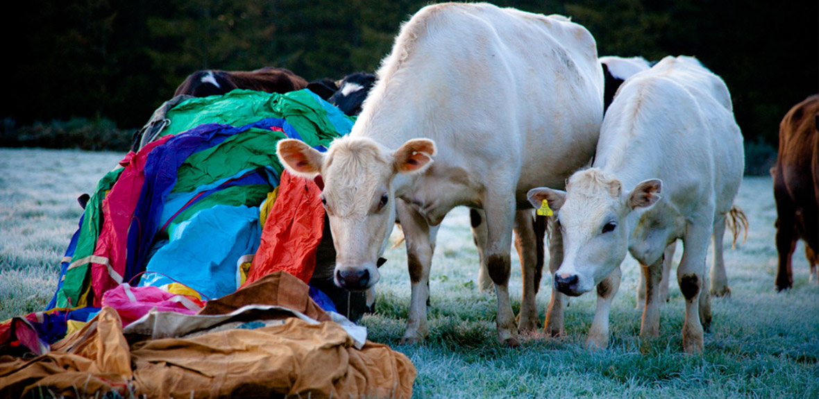 Glow Studio Photography | Love is Life