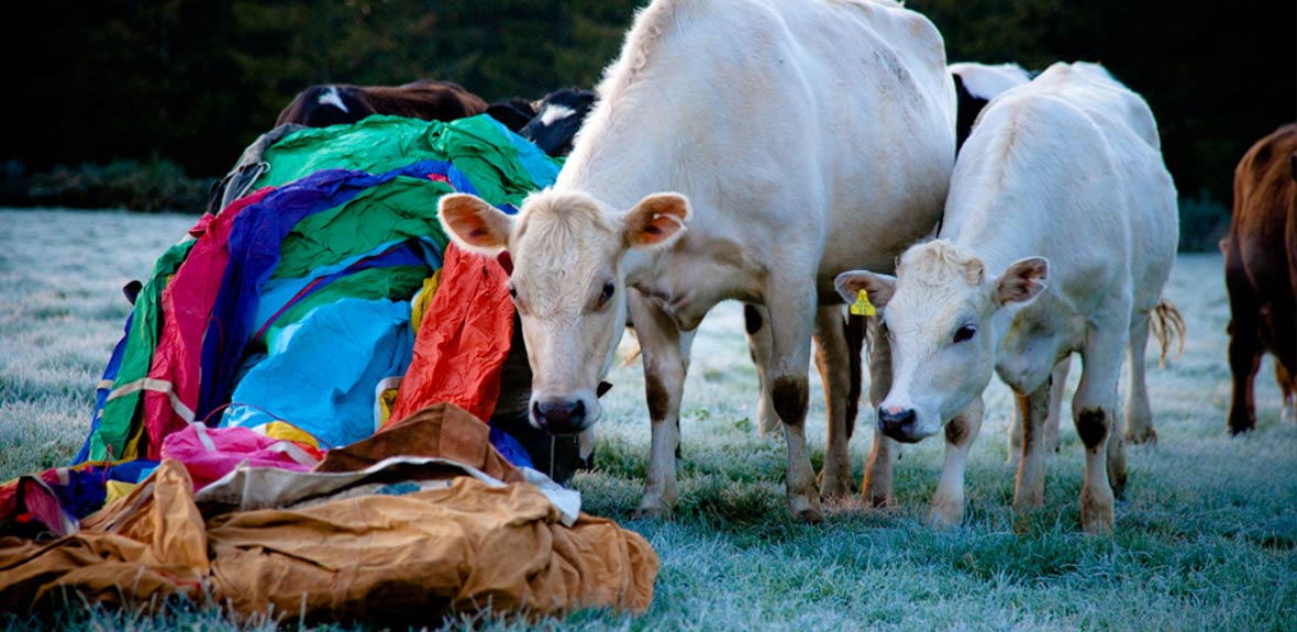 Glow Studio Photography | Love is Life